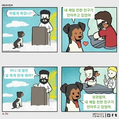 죽은후에 반려동물 만나는.manwha - 이미지 3