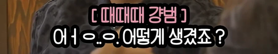 여행 유튜버라는 직업은 개꿀인가.jpg - 이미지 46