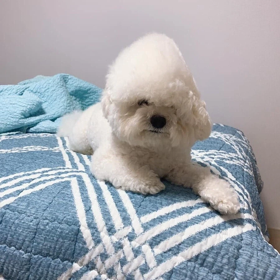 ㄹㅇ 푹 잤음