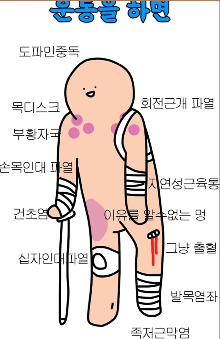 운동을 하면