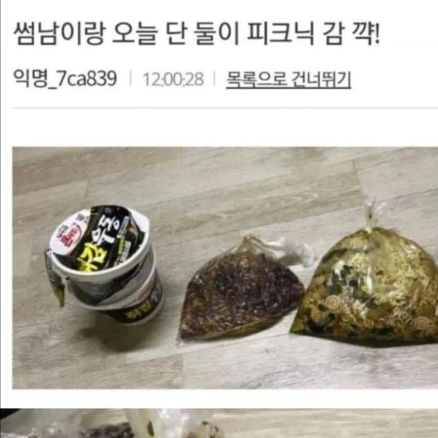 썸남이랑 피크닉 간다고 도시락 싼 사람.jpg