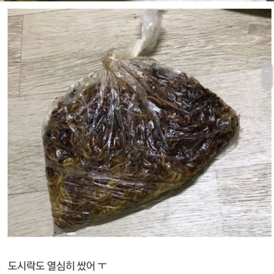 썸남이랑 피크닉 간다고 도시락 싼 사람.jpg - 이미지 3
