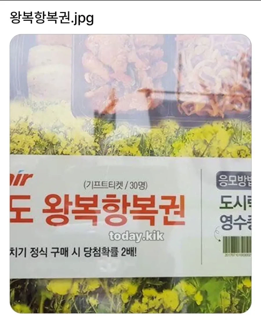 제주도 왕복항복권