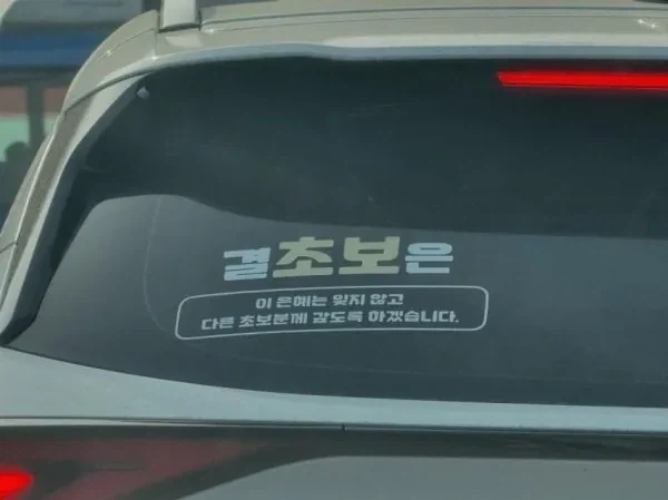 초보운전 스티커 중 최고