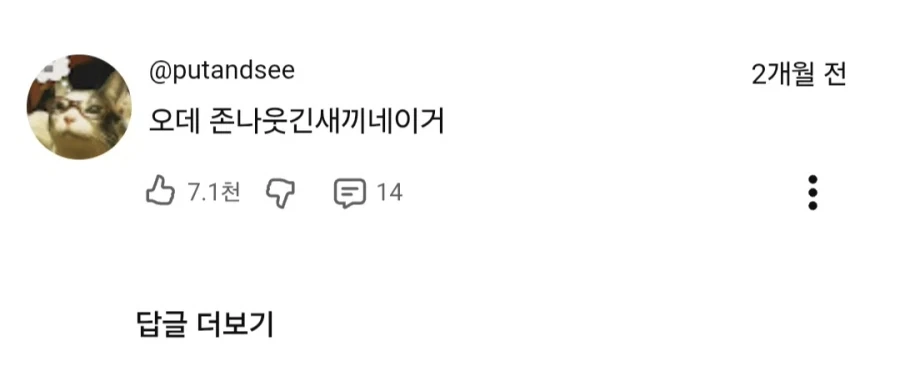 치이카와) 오데를 완벽하게 요약하는 댓글.jpg - 이미지 3