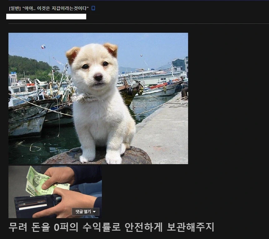 "아아.. 이것은 지갑이라는 것이다."
