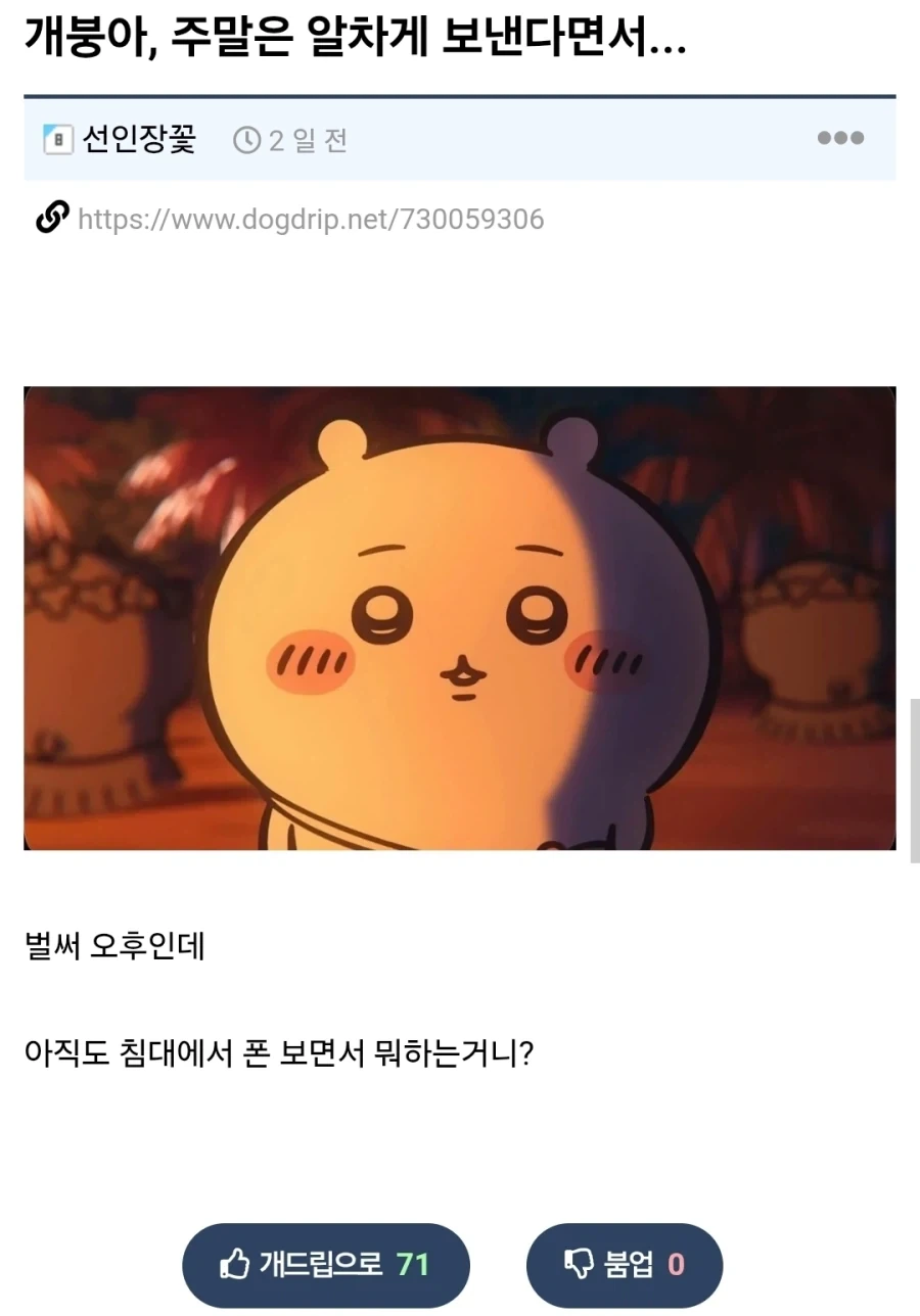 주말은 알차게 보낸다면서...