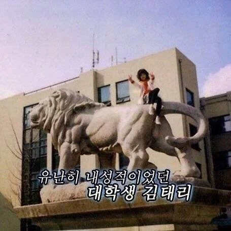 학창시절 유난히 내성적인 사람들 특징 - 이미지 3