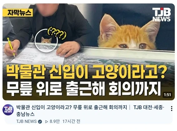 이야... 박물관 직원들 복지 미쳤네