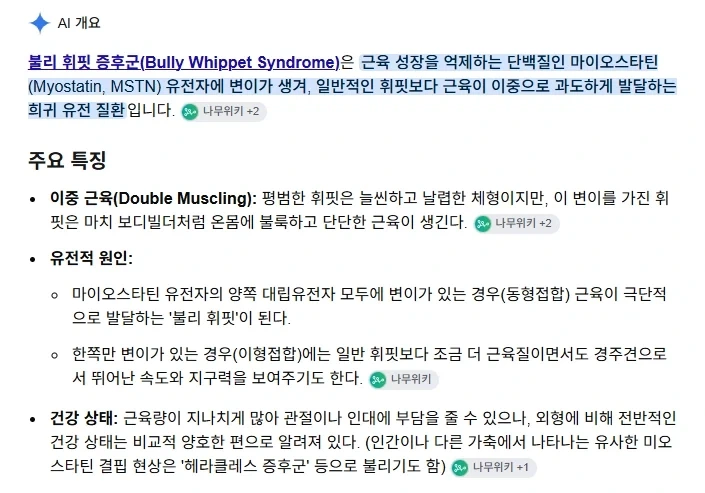 거대 휘핏 증후군에 걸린 댕댕이... - 이미지 8