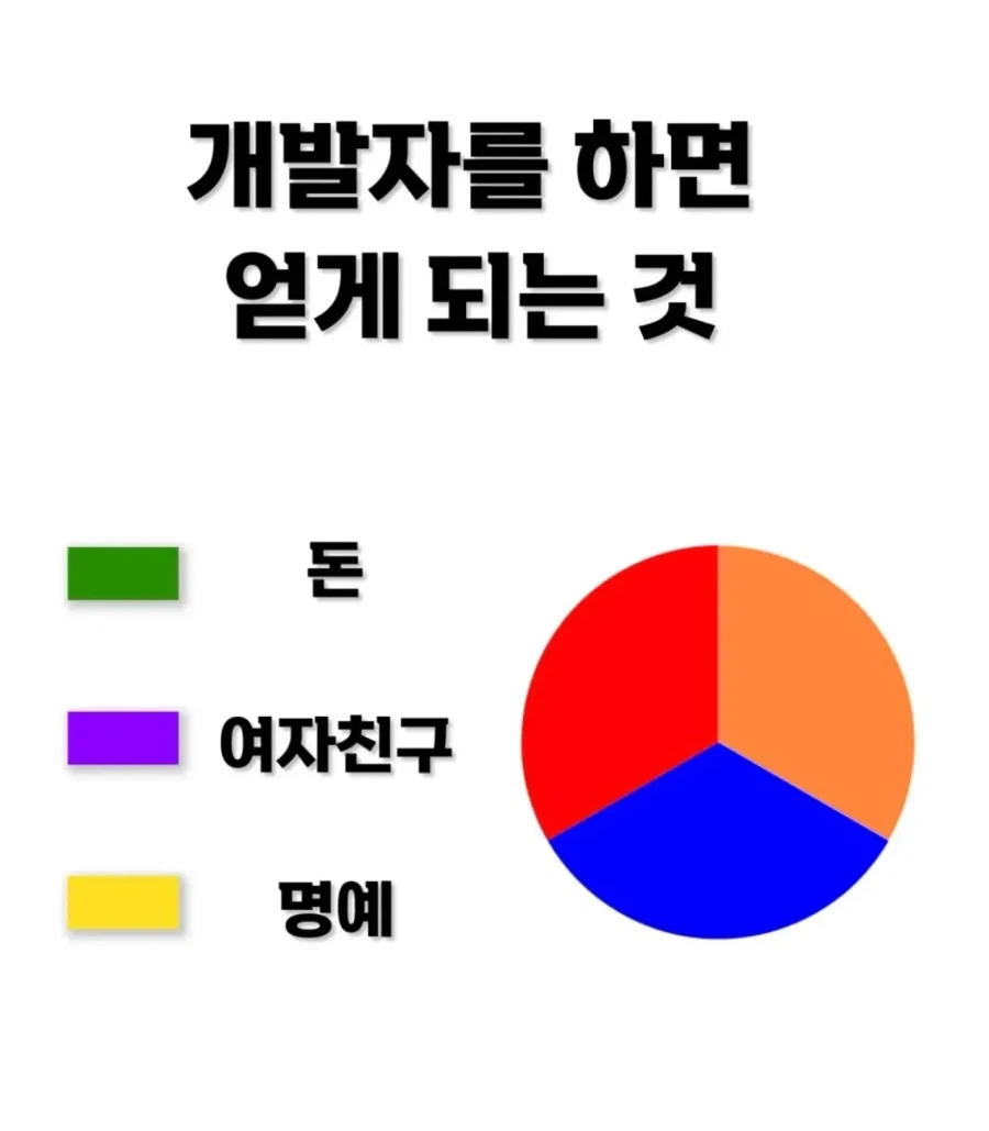 개발자를 하면 얻게되는것