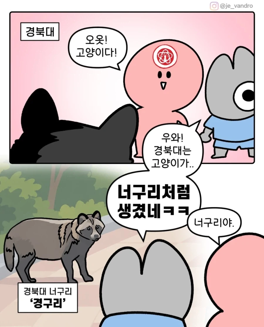 와~ 경북대 고앵이다