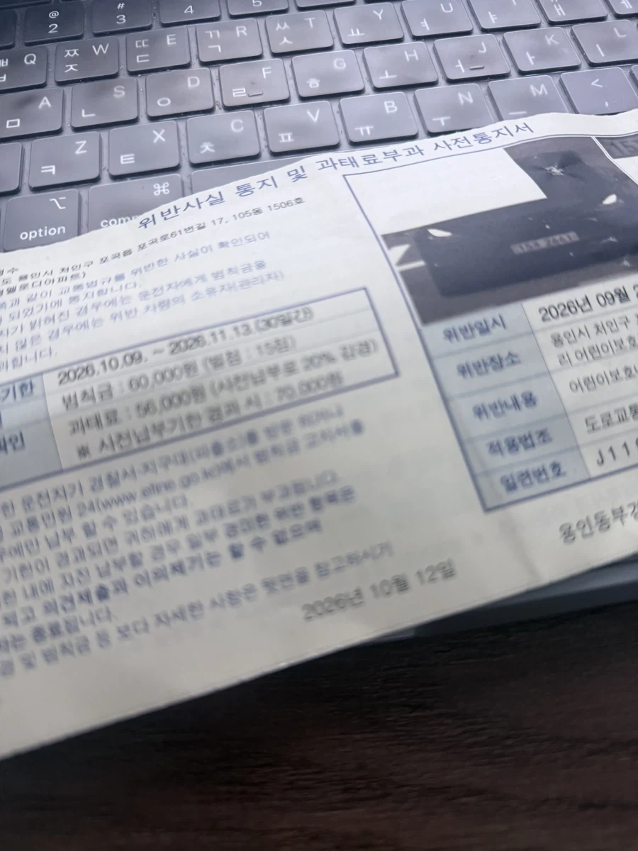 테슬라를 타면서 지출이 늘어난 사람 - 이미지 2