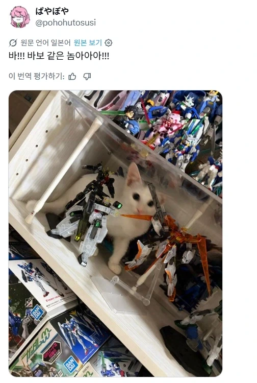다급한 집사.jpg