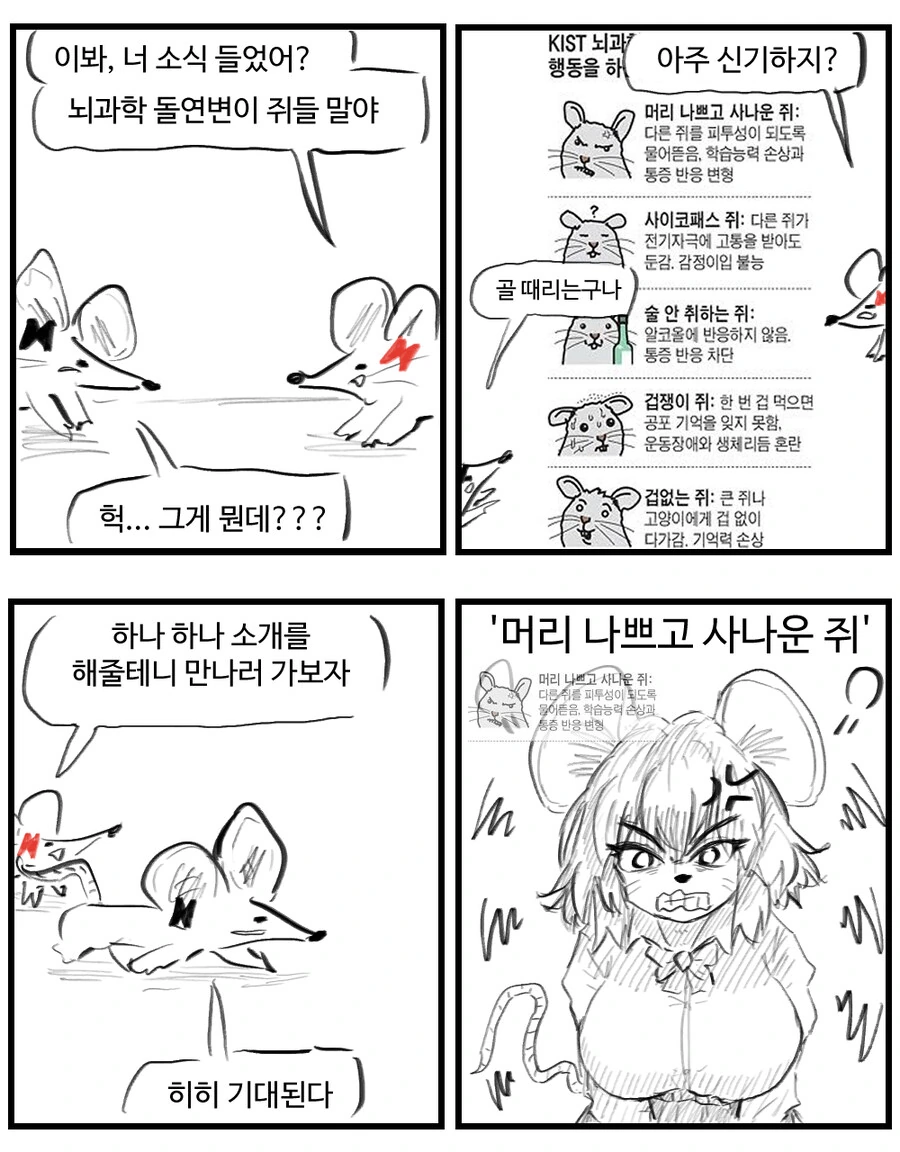 ㅎㅂ) 돌연변이 쥐 소녀 만화