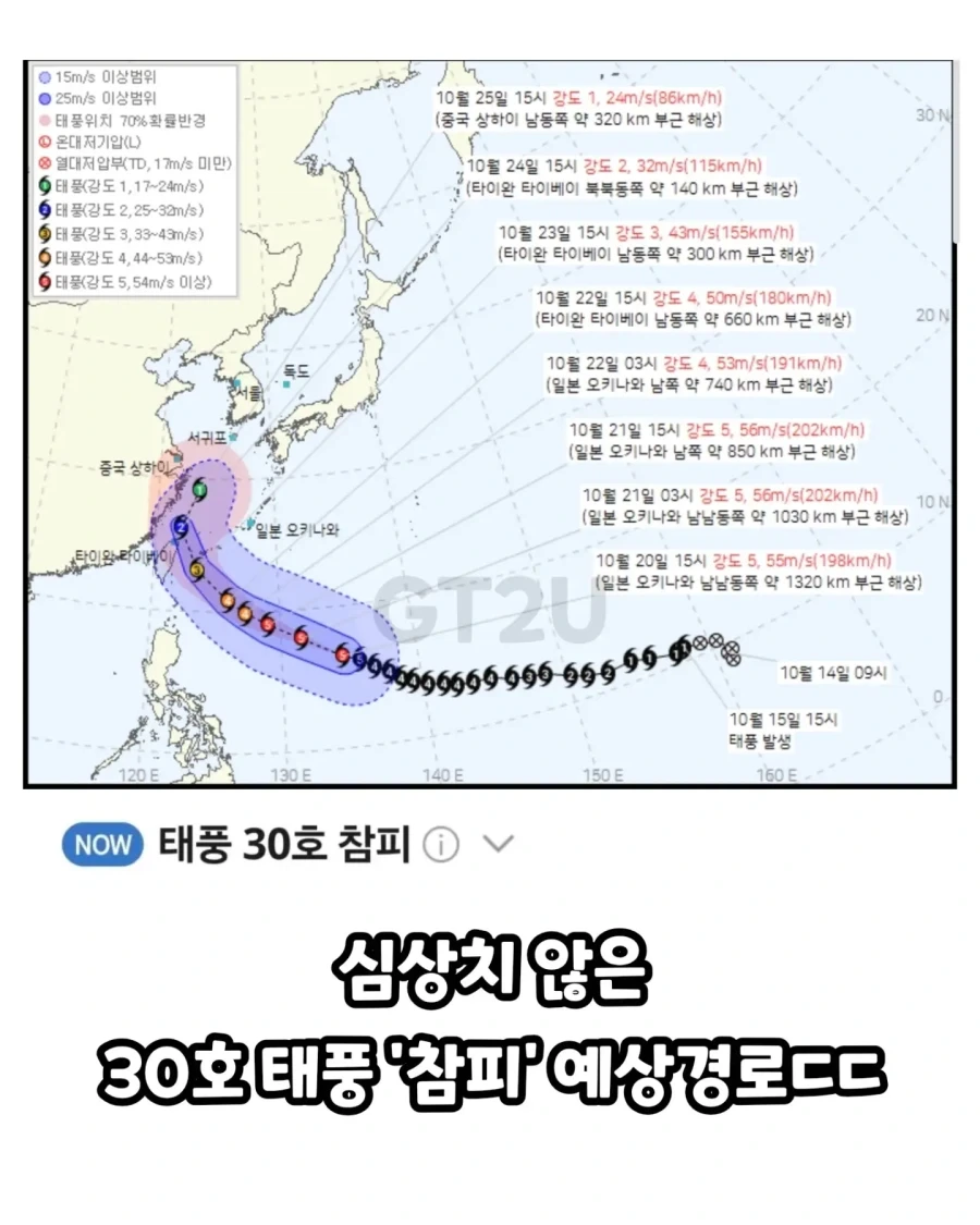 참피 이ㅅㅋ 왜 갑자기 꺾은거여?