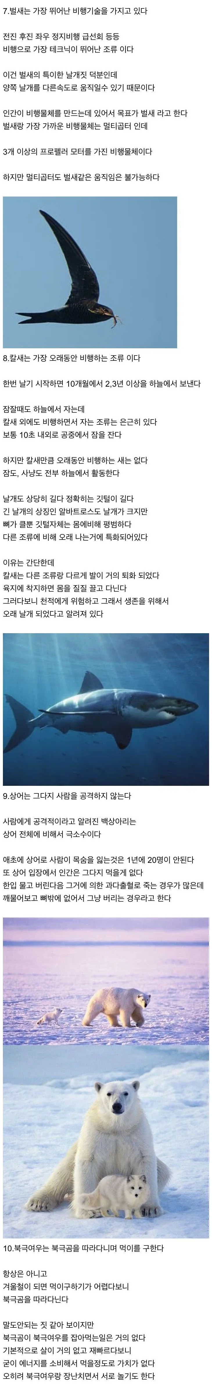 신기한 동물 지식 10가지 - 이미지 2
