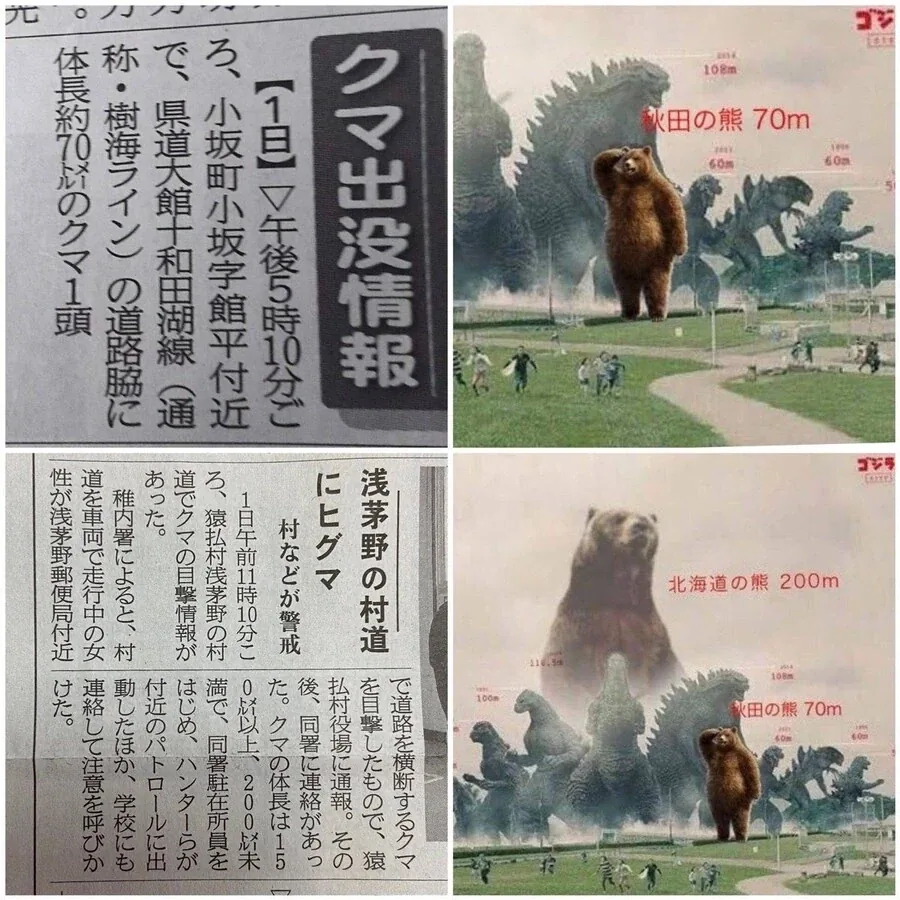 일본의 거대한 곰들.jpg