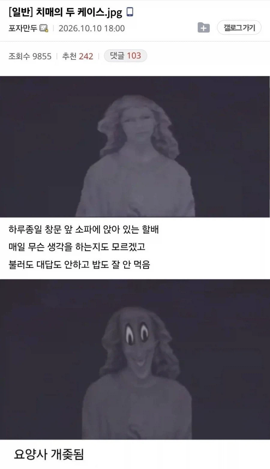 치매의 두 케이스.jpg