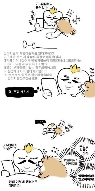 멍뭉이가 핥는 이유 VS 야옹이가 핥는 이유.jpg