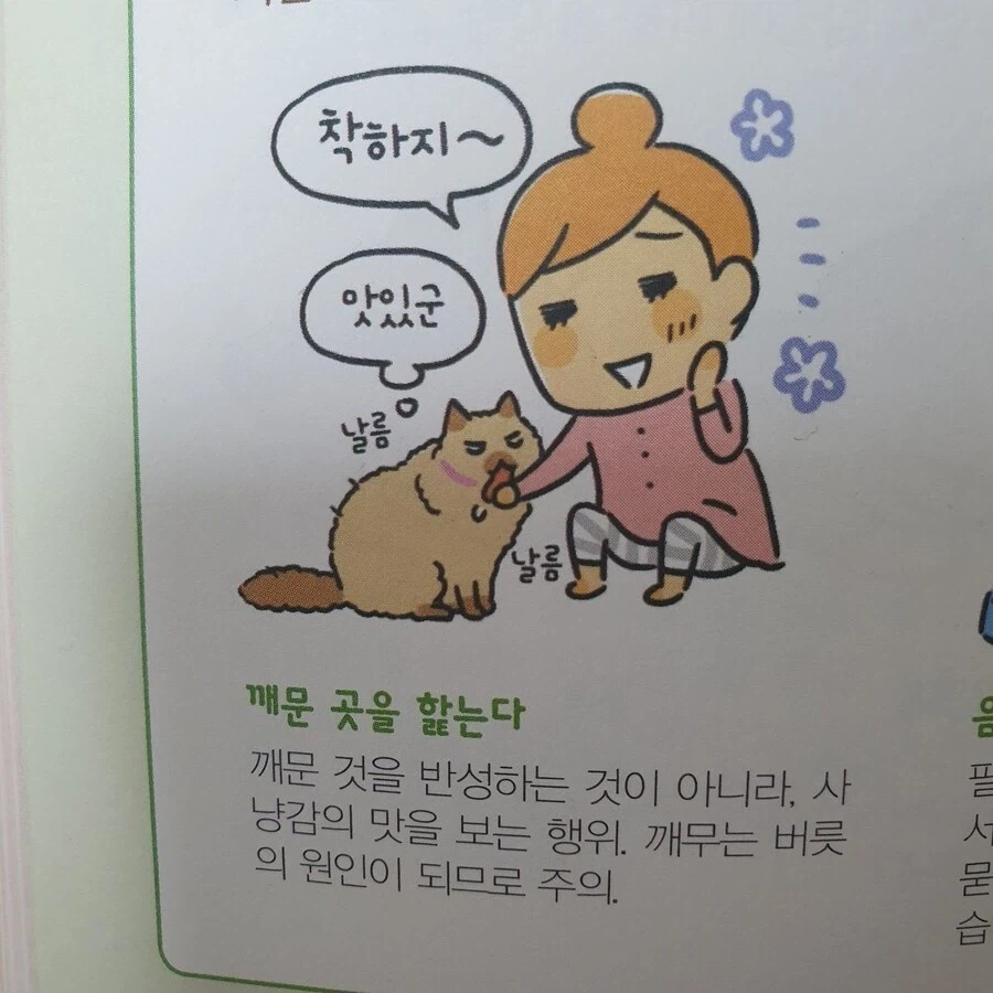멍뭉이가 핥는 이유 VS 야옹이가 핥는 이유.jpg - 이미지 2