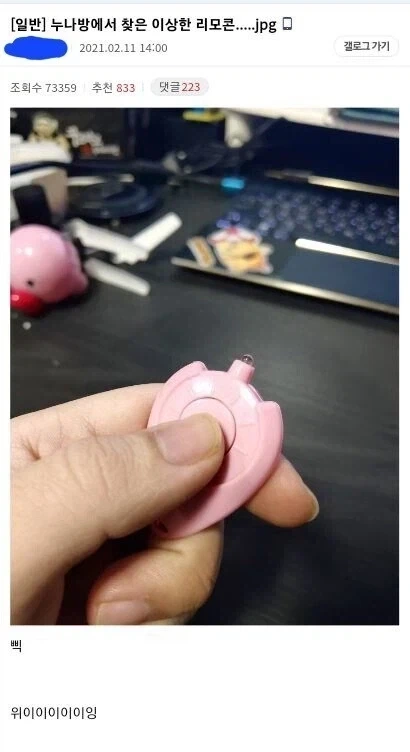 누나방에서 찾은 핑크색 리모컨