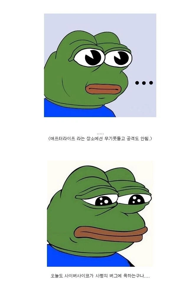 사펑) 어느 유저의 버그에 대한 한탄 - 이미지 3