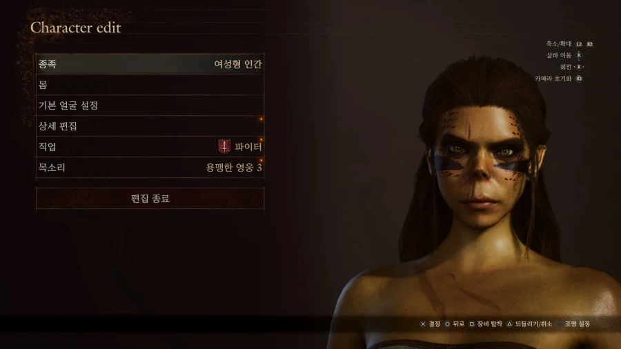 드래곤즈 도그마2 메인 컨텐츠