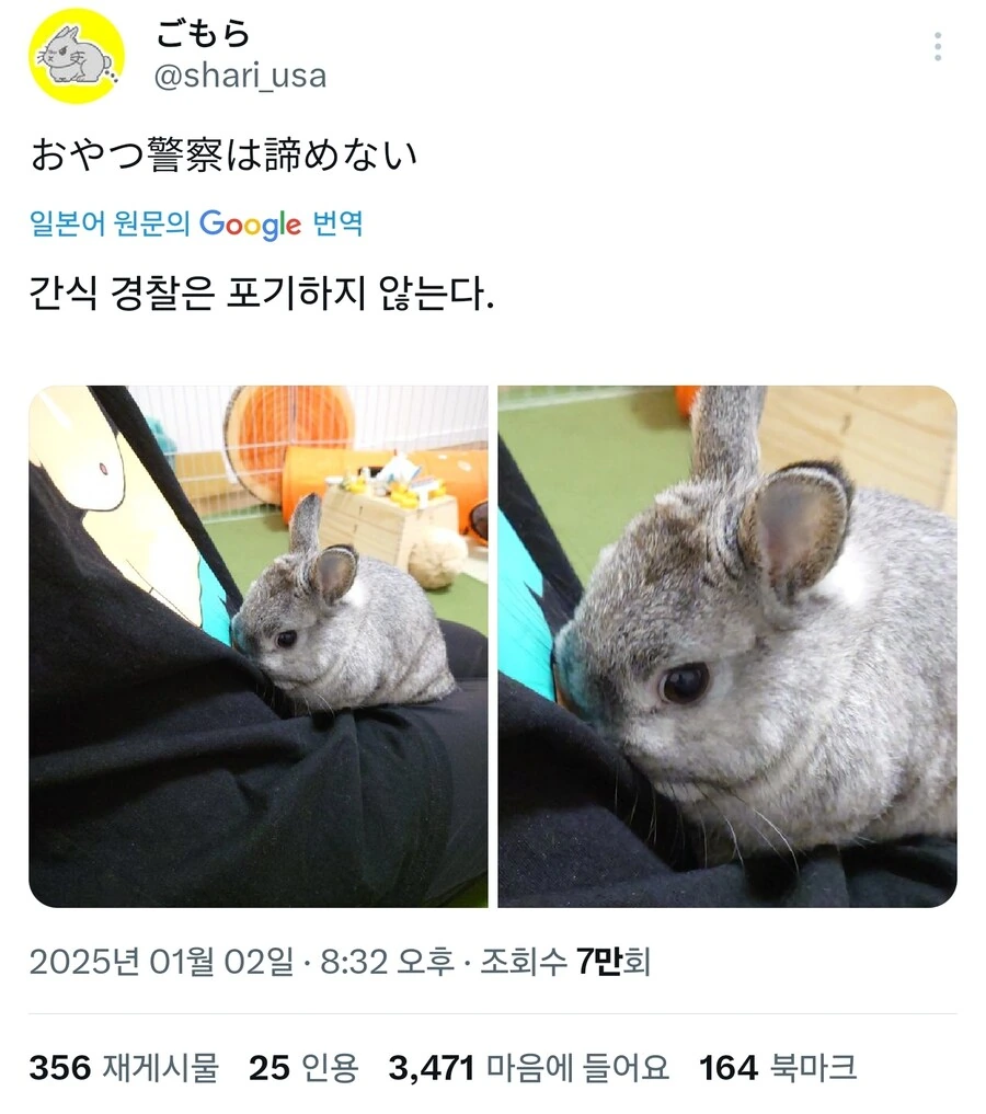 포기하지 않는 눈빛