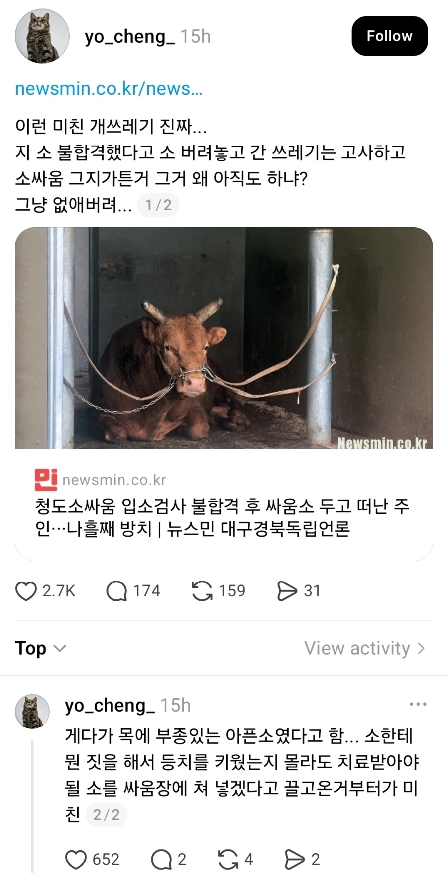 청도소싸움 검사 불합격했다고 싸움소 버리고 간 주인