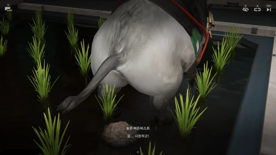 엔드필드) 왜 이렇게 똥을 보여주고 싶은거야?