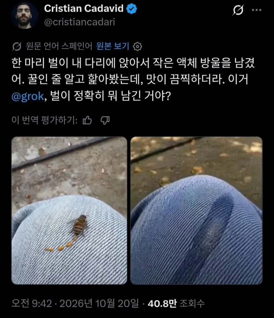꿀벌 똥 먹은 사람.jpg