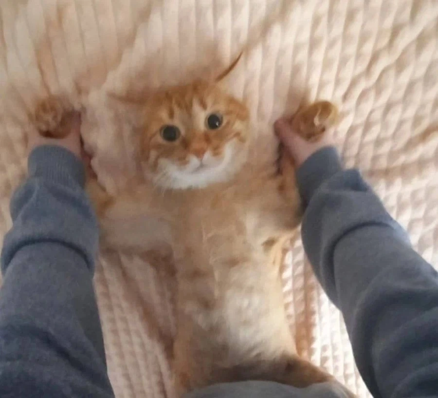 앗, 안돼 선생님 이런건 사랑하는 사람이랑 하는거야..