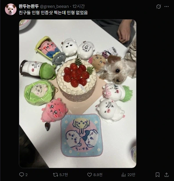 인형 컨셉샷 찍는데 인형이 없음
