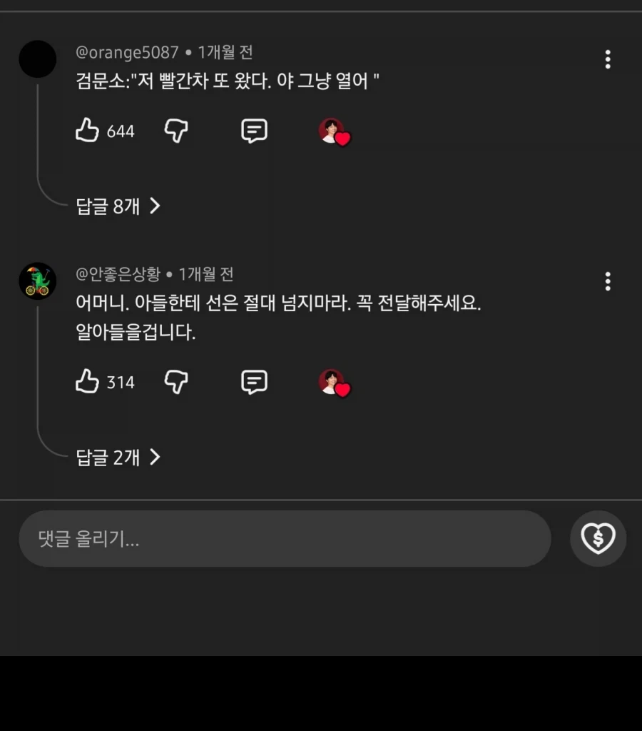 수상하게 북쪽을 좋아하는 유튜버 - 이미지 2