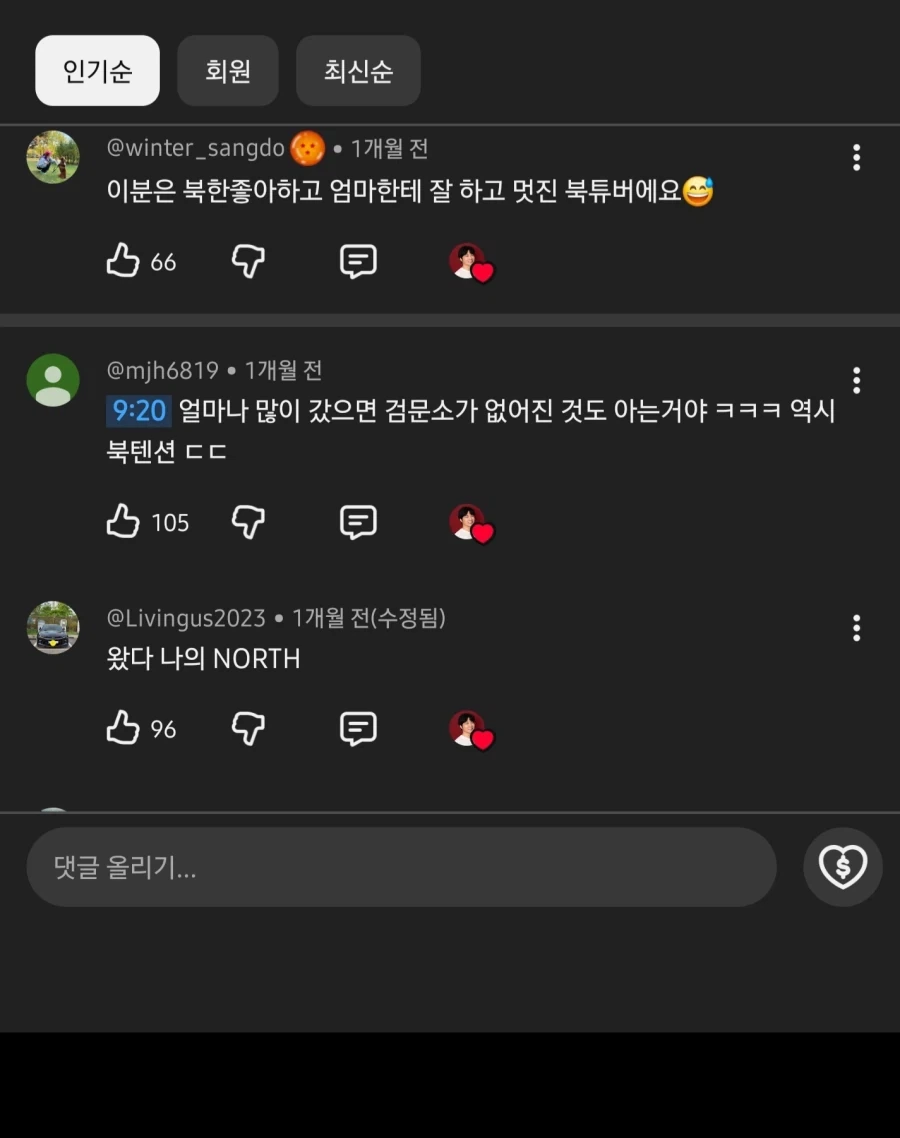 수상하게 북쪽을 좋아하는 유튜버 - 이미지 3