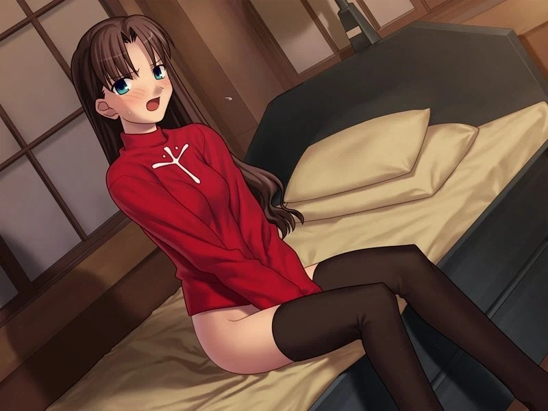 페이트 자꾸 안 꼴리다고 말하는 애들 믿으면 안됨