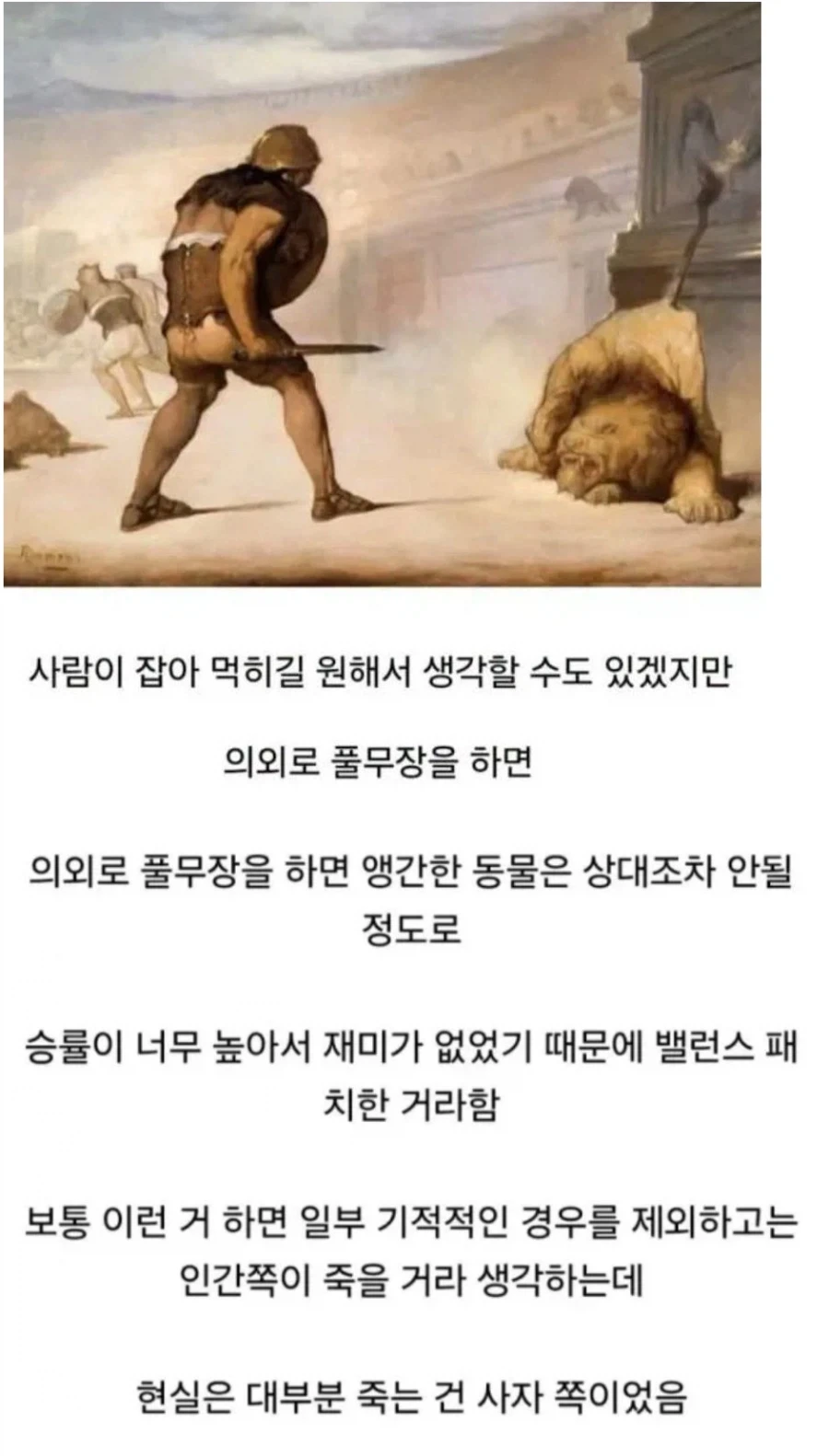 콜로세움 의외의 사실