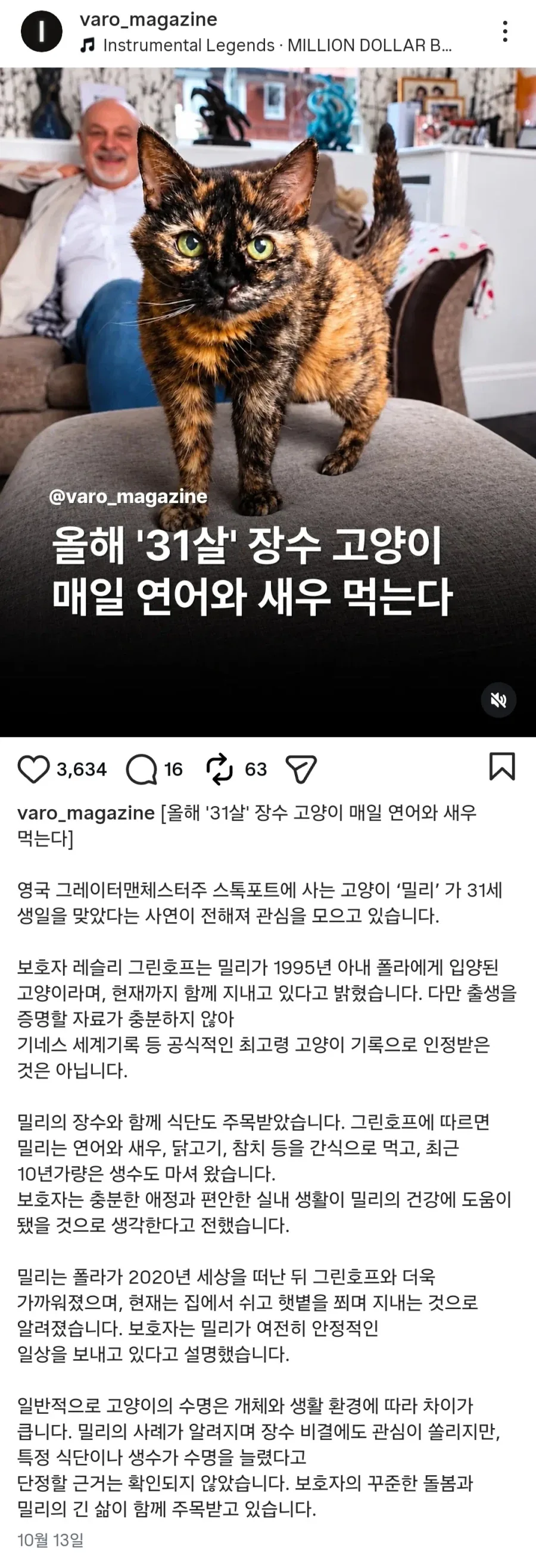 매일 해산물과 생수 먹은 31살 장수 고양이