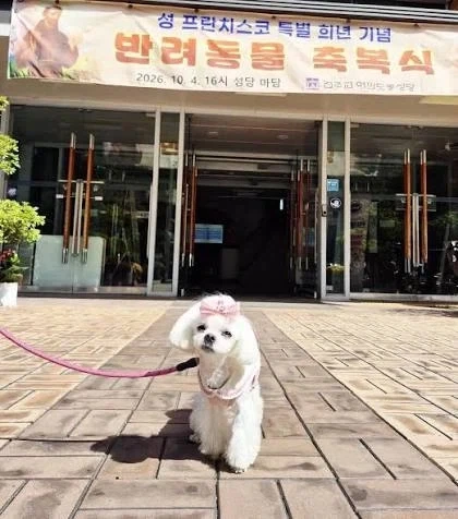 동물들도 축복받을 수 있는 종교 - 이미지 5