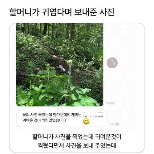 할머니가 귀엽다며 보내준 사진