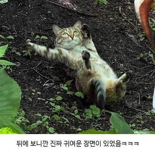 할머니가 귀엽다며 보내준 사진 - 이미지 2