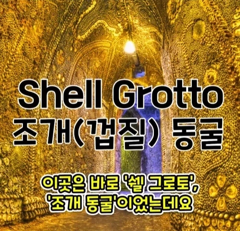 집을 샀는데 박물관이 생긴 사람.jpg - 이미지 10