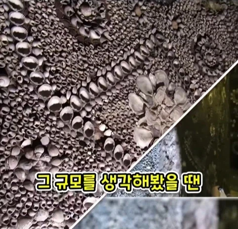 집을 샀는데 박물관이 생긴 사람.jpg - 이미지 14