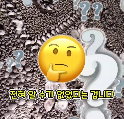 집을 샀는데 박물관이 생긴 사람.jpg - 이미지 17