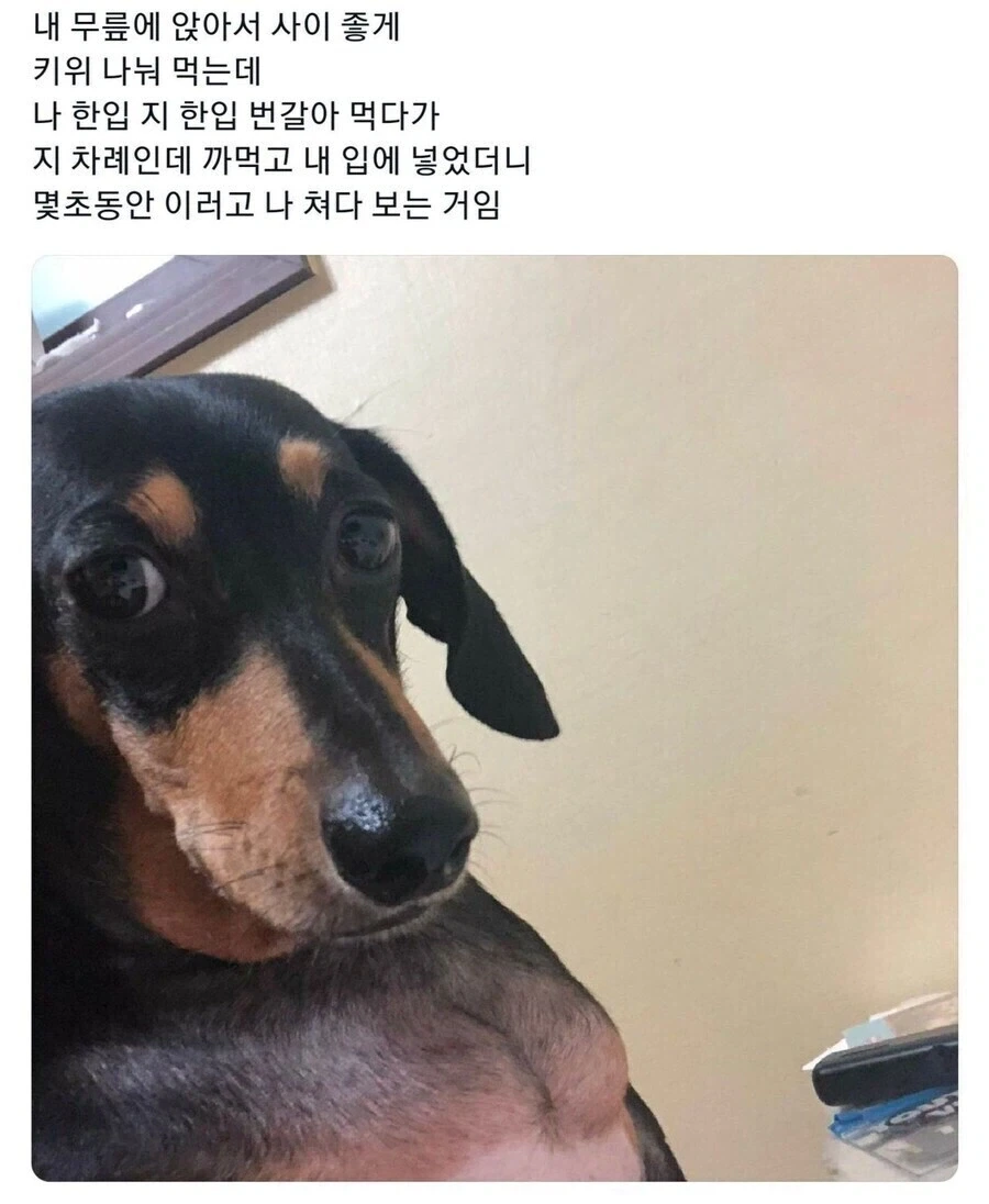 "와 되게 섭섭하다 주인아"