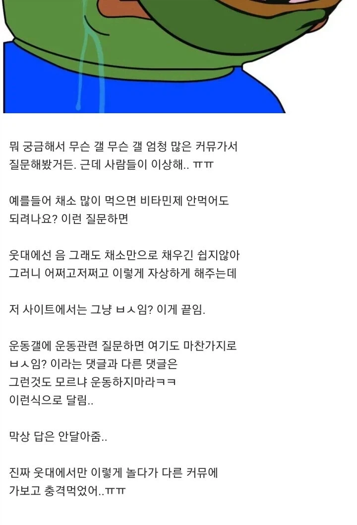 디씨 처음 갔다가 상처받은 웃대인