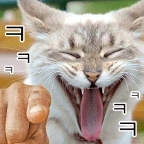 고양이 없어진 줄 알고 오열한 집사 - 이미지 2