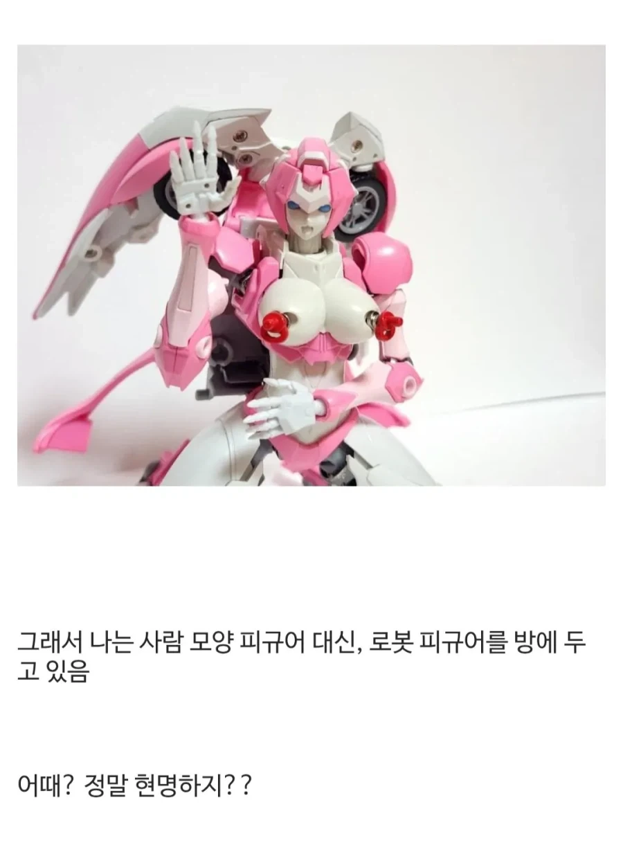 집에 사람 모양 장난감 두면 안되는 이유 - 이미지 5