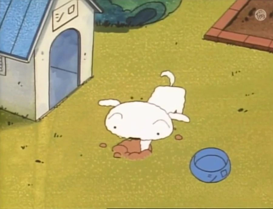 크리스마스를 즐기는 흰둥이